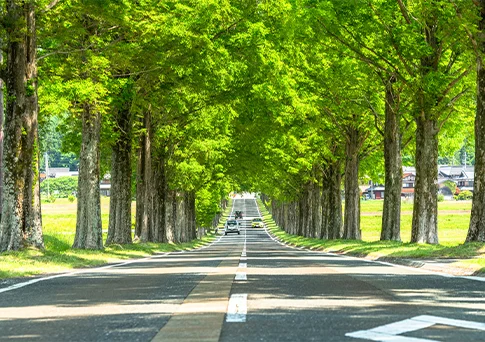 環境への取り組み